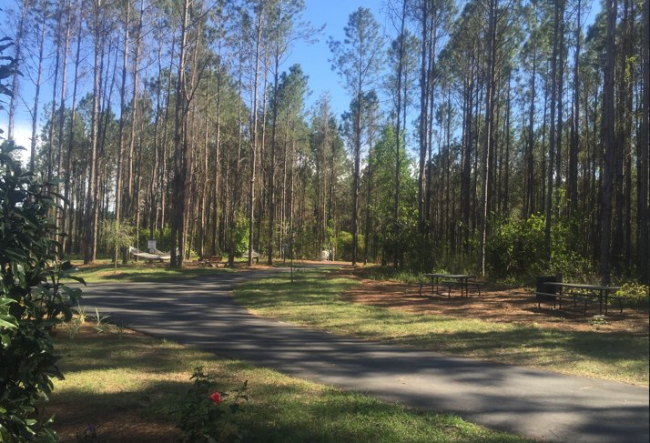 hiking central Florida near Orlando